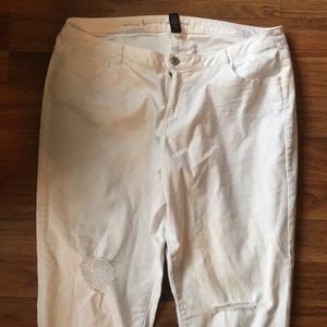 Lane Bryant Boyfriend Jean